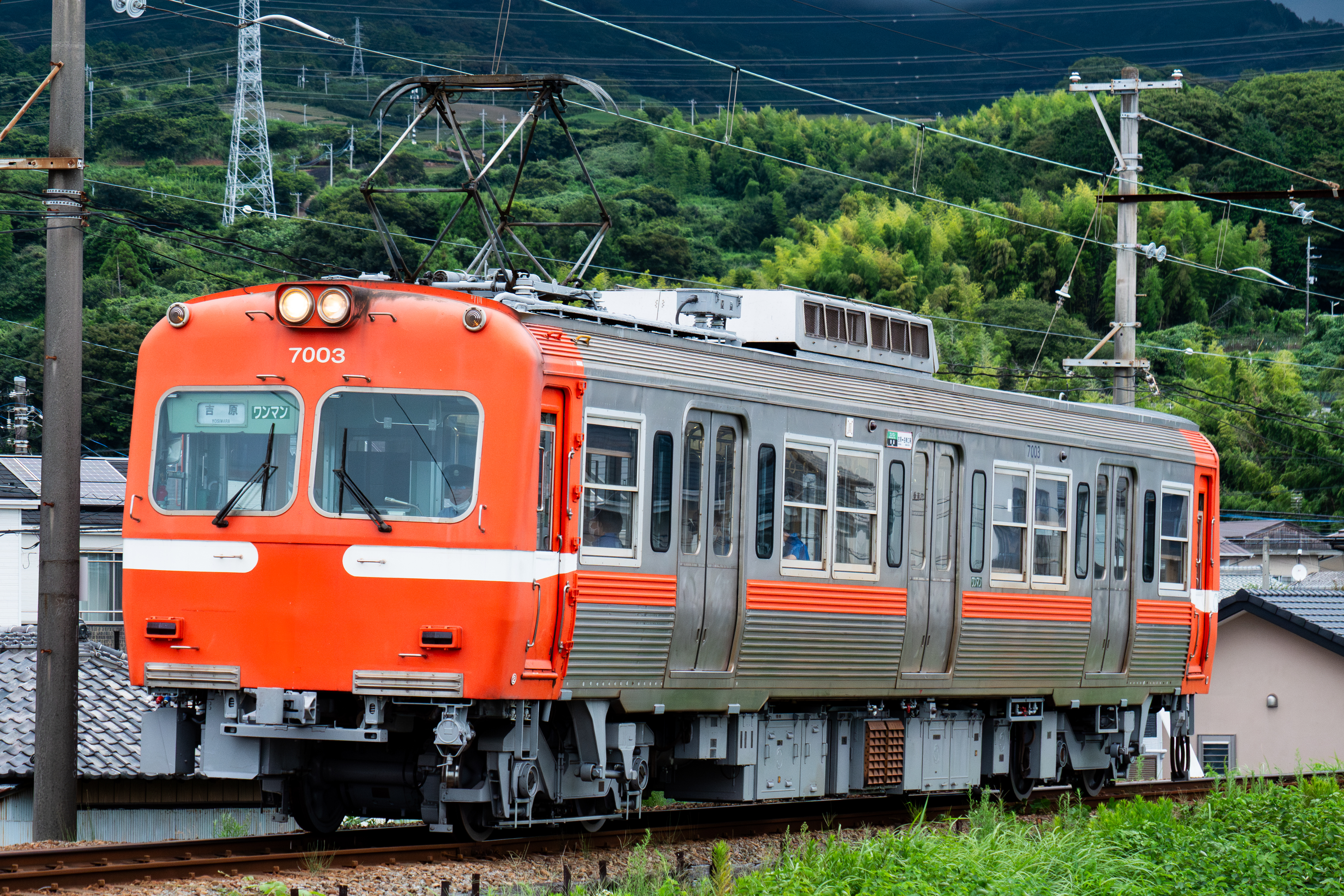 �V�����s